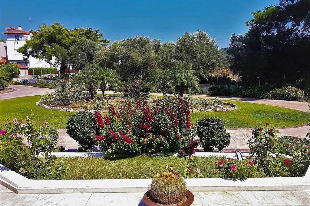 Fiore Di Rodi - Private Pool, Jacuzzi And Barbecue Ialysos  Exterior photo